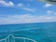 Thursday May 27th 2021 Santana: Conch Ledge reef report photo 1