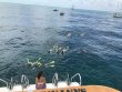 Tuesday June 26th 2018 Santana: Molasses Reef reef report photo 2