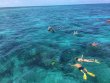 Friday April 5th 2019 Santana: Molasses Reef reef report photo 1