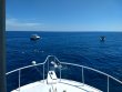 Tuesday July 2nd 2019 Santana: Winch Hole reef report photo 1
