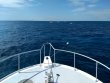 Sunday November 24th 2019 Santana: Spanish Anchor reef report photo 1