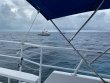 Saturday October 24th 2020 Tropical Adventure: Molasses Reef reef report photo 1
