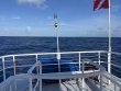 Friday April 7th 2023 Tropical Adventure: USCGC Duane reef report photo 1