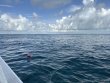 Tuesday July 18th 2023 Tropical Adventure: Snapper Ledge reef report photo 1