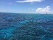 Monday June 1st 2015 Tropical Adventure: USCGC Duane reef report photo 1