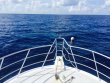 Monday June 22nd 2015 Tropical Adventure: USCGC Duane reef report photo 1