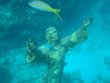 Monday June 22nd 2015 Tropical Adventure: Christ Statue reef report photo 1
