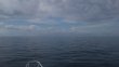 Wednesday August 26th 2015 Tropical Adventure: USCGC Bibb reef report photo 1