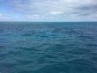 Sunday February 21st 2016 Tropical Adventure: Spiegel Grove reef report photo 1
