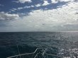 Monday February 29th 2016 Tropical Adventure: USCGC Duane reef report photo 1