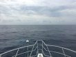 Friday March 18th 2016 Tropical Adventure: USCGC Duane reef report photo 1