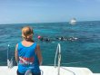 Saturday March 26th 2016 Tropical Adventure: Minnow Cave reef report photo 1