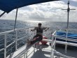 Saturday November 26th 2016 Tropical Adventure: North Star reef report photo 1