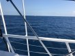Friday March 3rd 2017 Tropical Adventure: USCGC Duane reef report photo 1