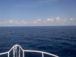 Monday June 23rd 2014 Tropical Adventure: USCGC Duane reef report photo 1
