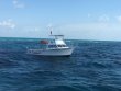 Monday April 3rd 2017 Tropical Adventure: Molasses Reef reef report photo 1