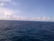Wednesday June 25th 2014 Tropical Adventure: USCGC Duane reef report photo 1