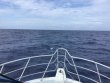 Monday June 5th 2017 Tropical Adventure: USCGC Duane reef report photo 1