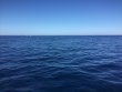 Saturday November 25th 2017 Tropical Adventure: USCGC Duane reef report photo 1