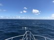Saturday December 2nd 2017 Tropical Adventure: Spiegel Grove reef report photo 1