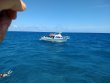 Saturday April 7th 2018 Tropical Adventure: Molasses Reef reef report photo 1