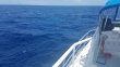 Monday April 23rd 2018 Tropical Adventure: USCGC Bibb reef report photo 1