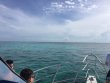 Sunday June 10th 2018 Tropical Adventure: Christ Statue reef report photo 1