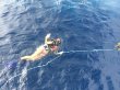 Friday August 8th 2014 Tropical Adventure: USCGC Duane reef report photo 3