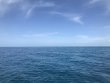 Friday June 15th 2018 Tropical Adventure: Benwood Wreck reef report photo 1