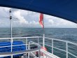 Saturday June 30th 2018 Tropical Adventure: Pickle Barrel Wreck reef report photo 1