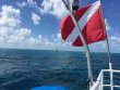 Saturday August 4th 2018 Tropical Adventure: Permit Ledges reef report photo 1