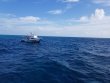 Saturday September 1st 2018 Tropical Adventure: Molasses Reef reef report photo 1