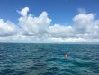 Saturday October 27th 2018 Tropical Adventure: Molasses Reef reef report photo 1