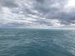 Monday December 24th 2018 Tropical Adventure: USCGC Duane reef report photo 1