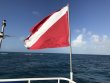 Saturday December 29th 2018 Tropical Adventure: North Star reef report photo 1