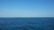 Thursday October 30th 2014 Tropical Adventure: Molasses Reef reef report photo 1