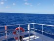 Thursday November 26th 2020 Tropical Destiny: USCGC Duane reef report photo 1