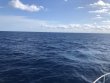 Saturday March 6th 2021 Tropical Destiny: USCGC Duane reef report photo 1