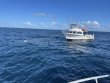 Sunday May 2nd 2021 Tropical Destiny: Spiegel Grove reef report photo 1