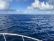 Thursday July 15th 2021 Tropical Destiny: USCGC Duane reef report photo 1