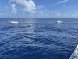 Saturday July 31st 2021 Tropical Destiny: USCGC Duane reef report photo 2