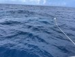 Saturday August 7th 2021 Tropical Destiny: USCGC Duane reef report photo 1