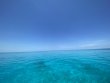 Friday June 24th 2022 Tropical Destiny: Molasses Reef reef report photo 2