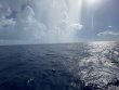 Friday July 8th 2022 Tropical Destiny: Spiegel Grove reef report photo 2