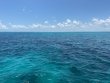 Wednesday July 13th 2022 Tropical Destiny: North Dry Rocks reef report photo 1