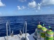 Sunday July 24th 2022 Tropical Destiny: USCGC Duane reef report photo 1