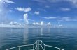 Sunday August 14th 2022 Tropical Destiny: USCGC Duane reef report photo 1