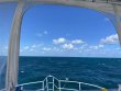 Friday November 4th 2022 Tropical Destiny: Double North reef report photo 1
