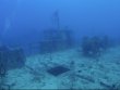 Friday May 26th 2023 Tropical Destiny: Spiegel Grove reef report photo 1