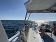 Tuesday September 30th 2025 Tropical Destiny: French Reef reef report photo 1